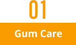 01 Gum Care
